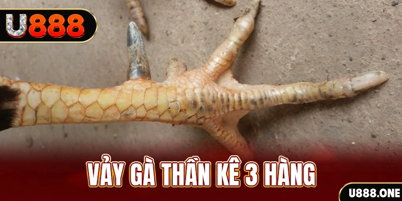 888clb nổ hũ đổi thưởng . ai