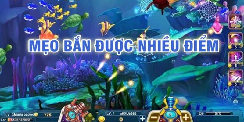 888clb đá gà