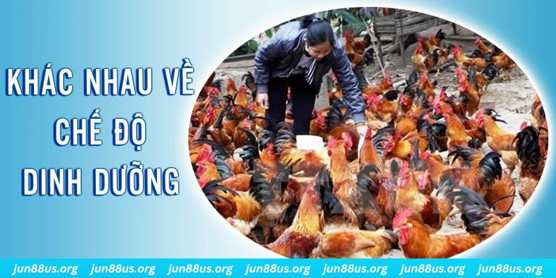 888clb xổ số thứ sáu hàng tuần