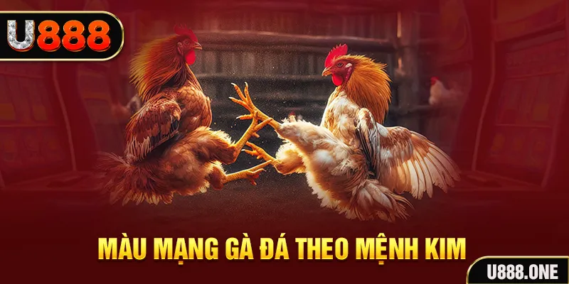 888clb gà chọi tiêu phong