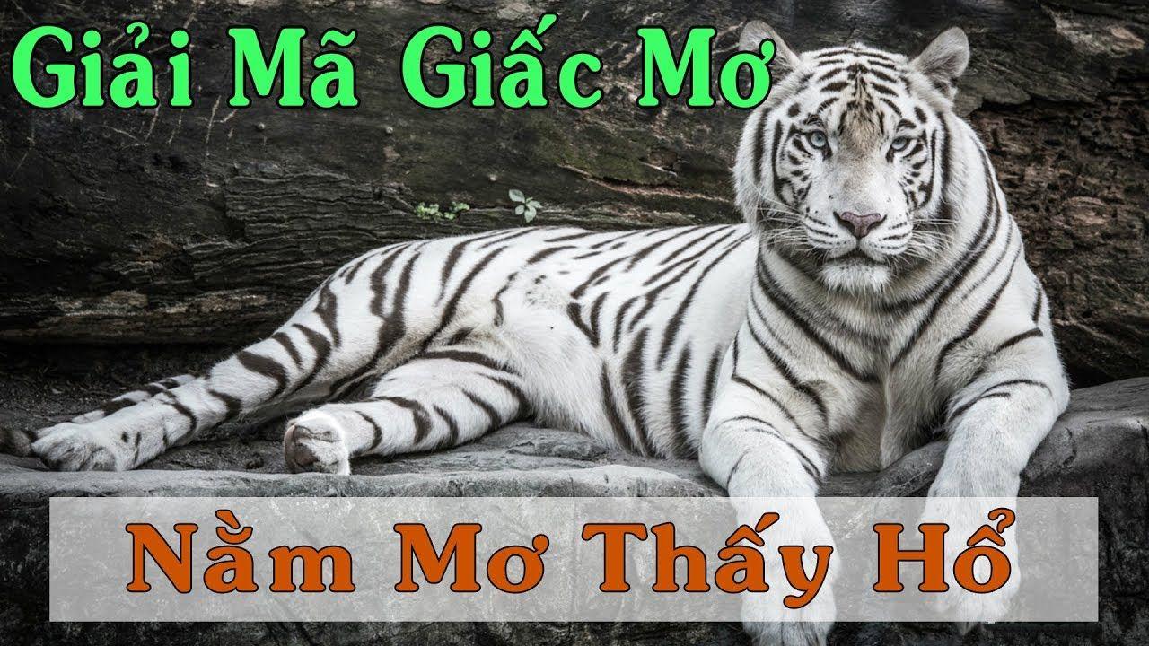 888clb xổ số miền trung