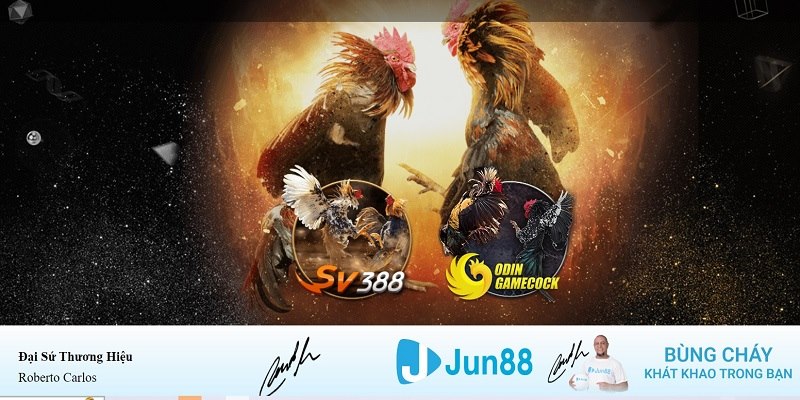 888clb xổ số miền nam hàng tuần