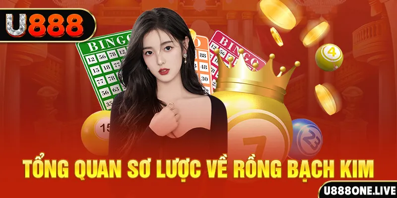 888clb how to win at slot machines