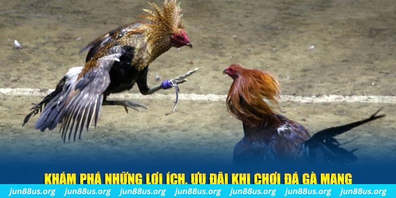 888clb Tài Xỉu 2