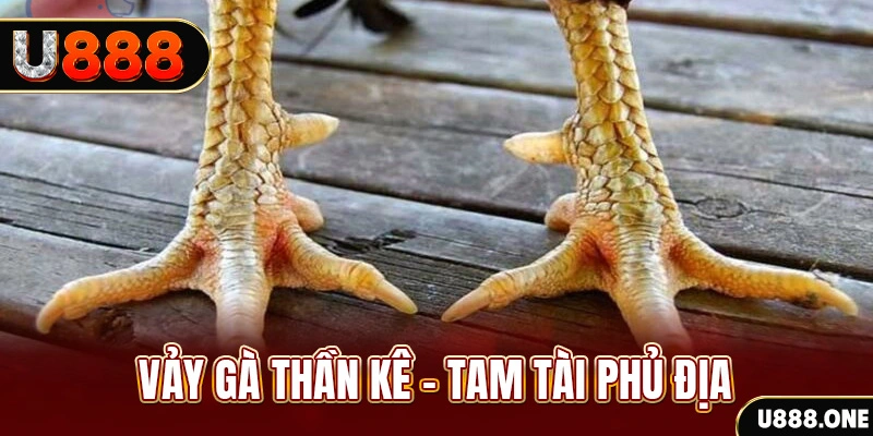 888clb xổ số 30 ngày