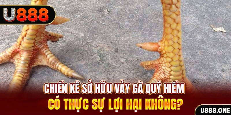 888clb game cá cược máy bay