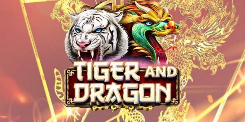 888clb cá cược tiếng anh là gì